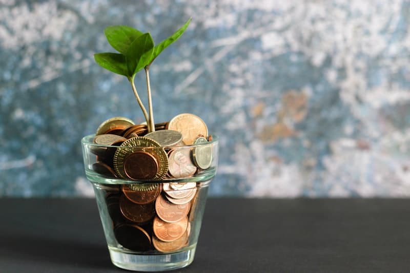 Underpricing Your Products or Services