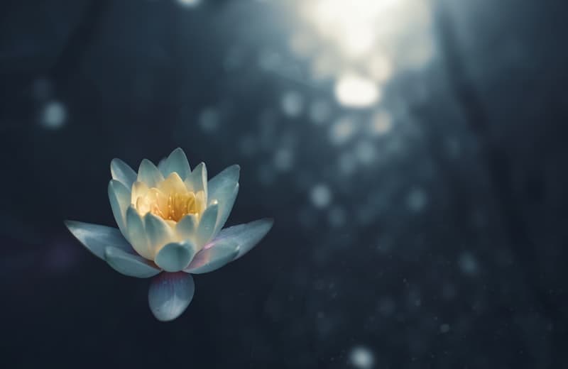 Buddhism (500 Million Followers)