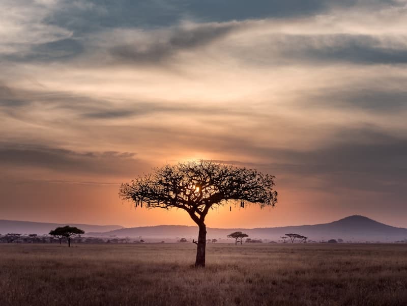 Serengeti National Park, Tanzania