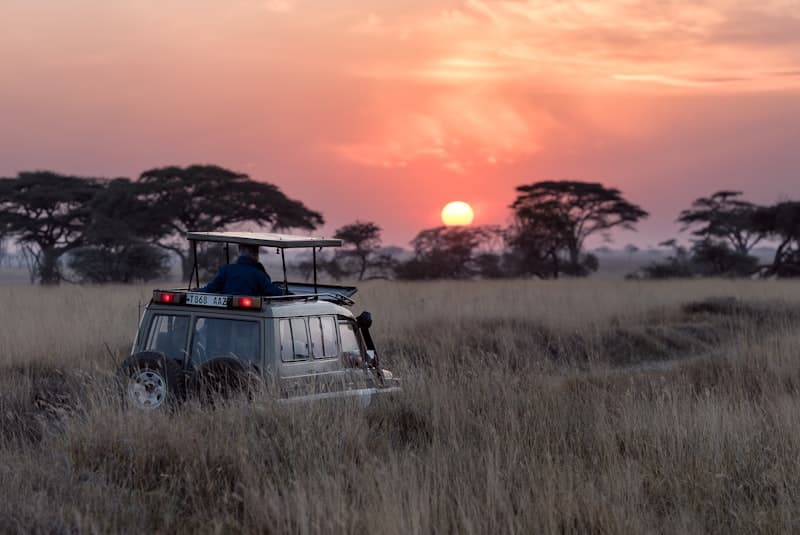Serengeti (BBC)
