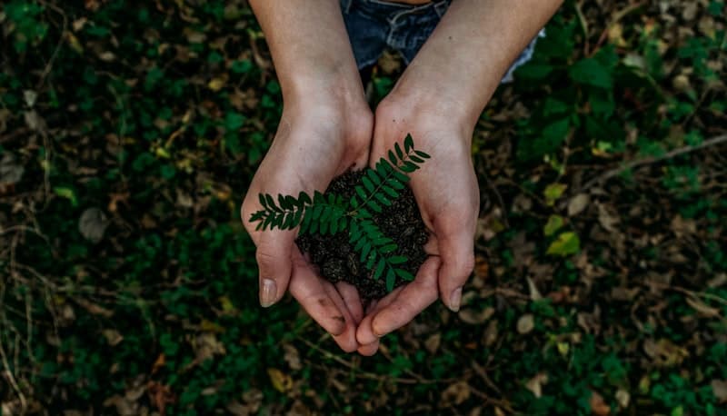 Sustainable & Eco-Friendly Products