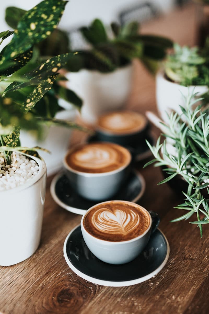 Water Quality for Coffee
