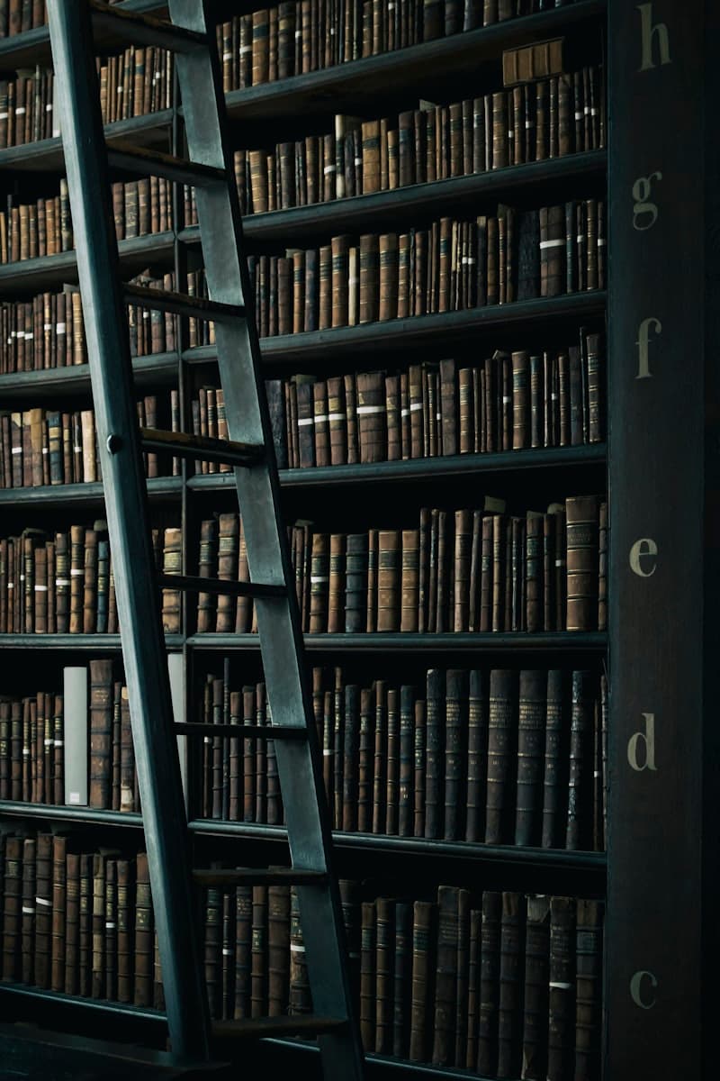 Discworld – Terry Pratchett