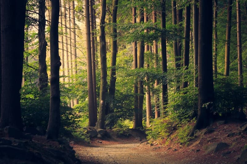 Chapada Diamantina