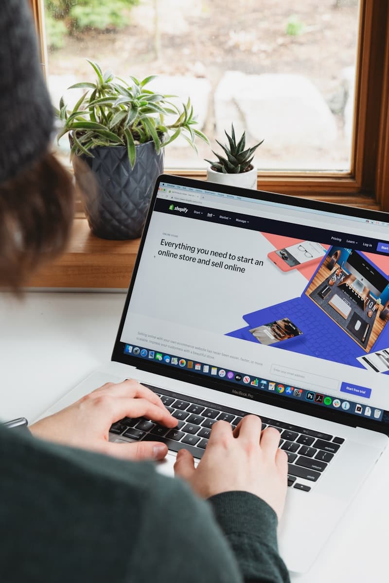 Dropshipping Store