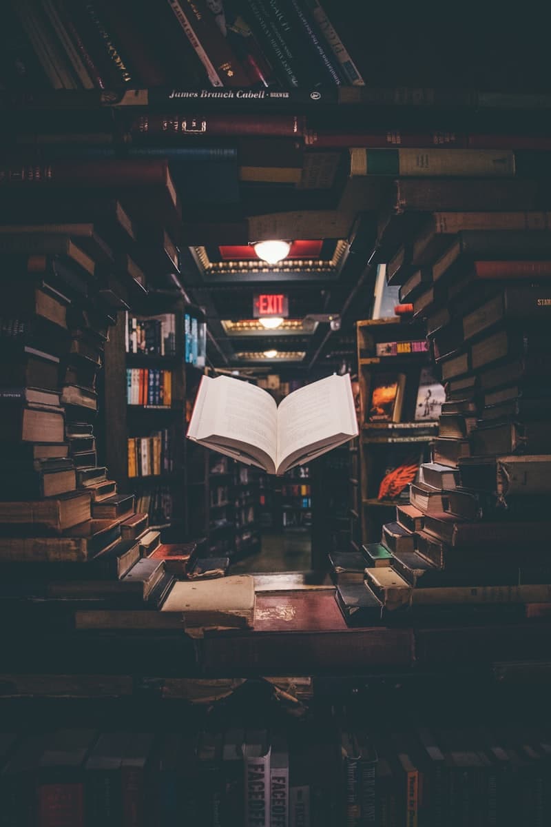 The Name of the Wind – Patrick Rothfuss