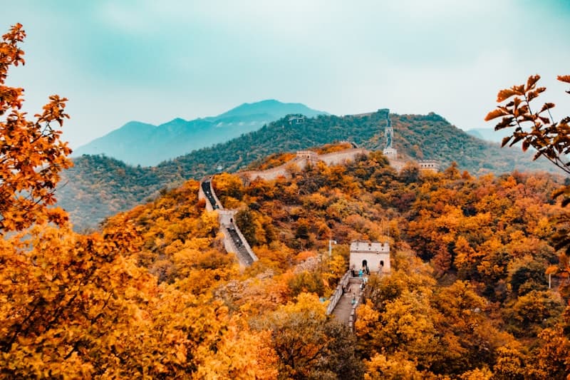 Chengdu Research Base of Giant Panda Breeding, China