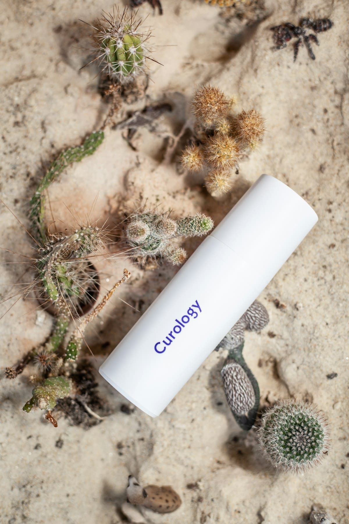 Best Korean Sunscreens for Daily Use