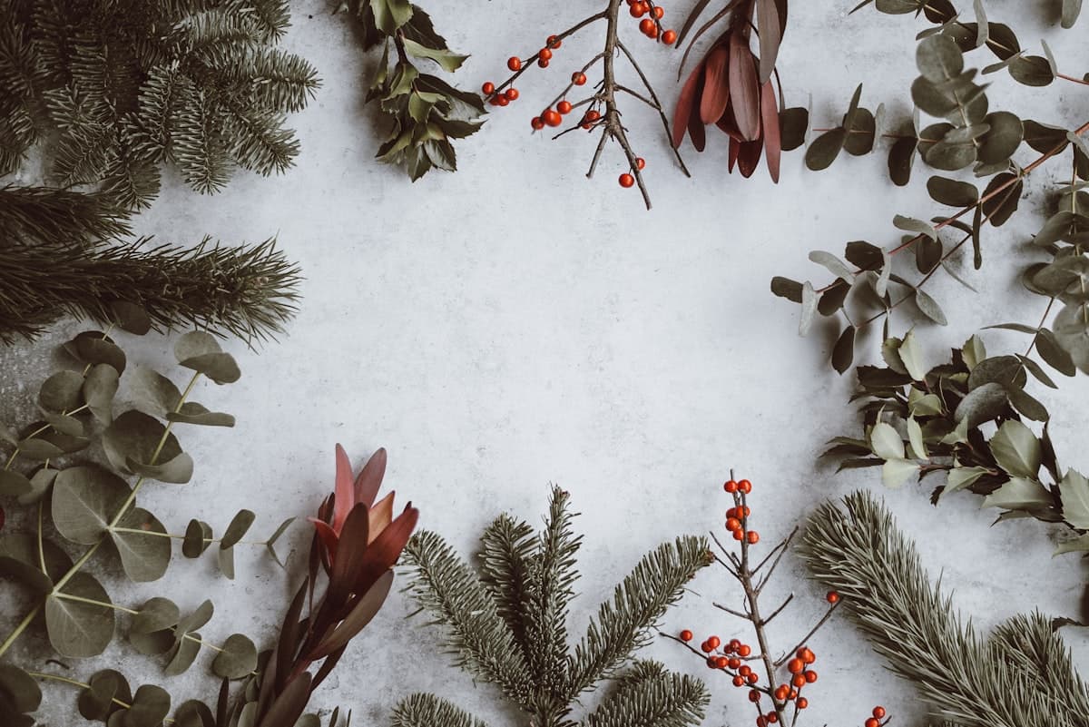 Best Christmas Gift Ideas for Everyone