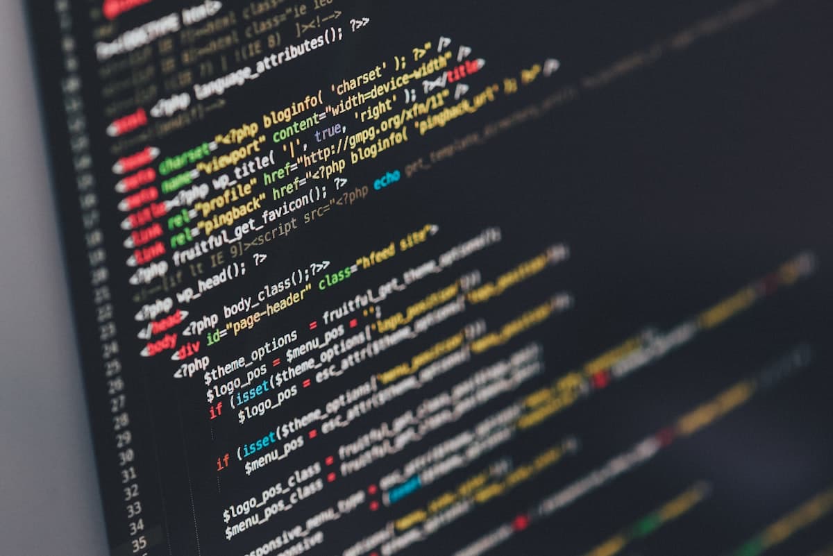 Best Programming Languages to Learn