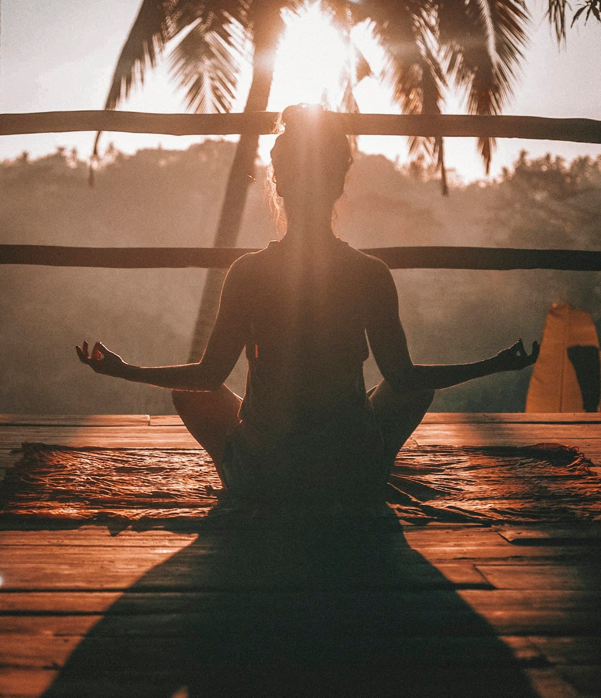 Best Yoga Styles for Beginners to Try