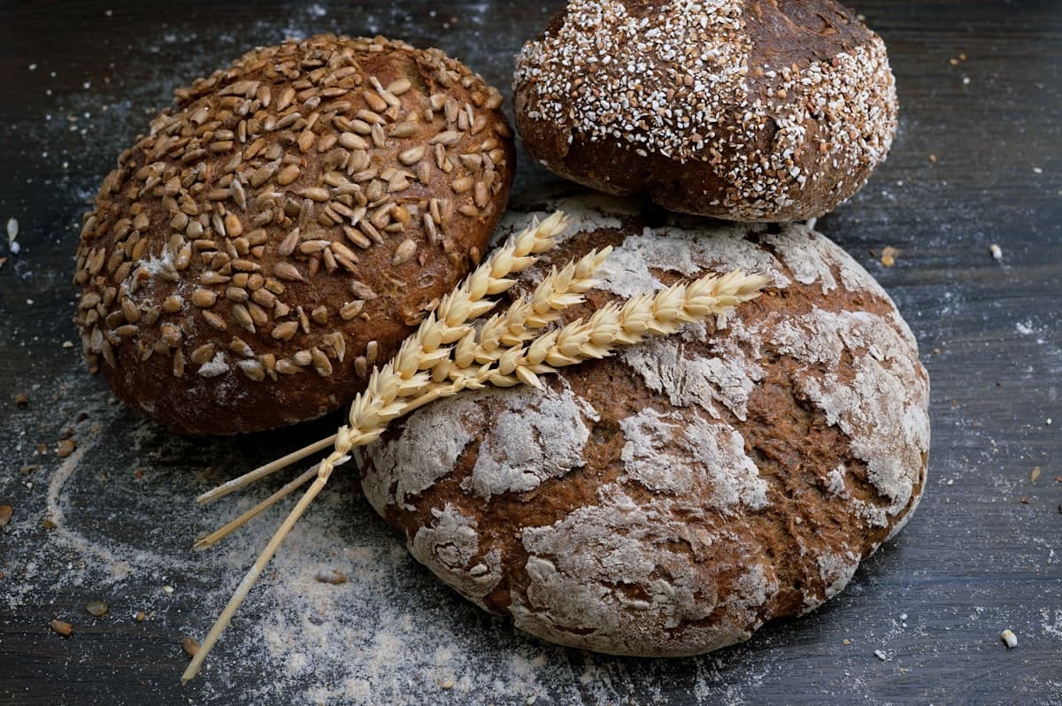 Best Sourdough Bread Baking Guide for Beginners