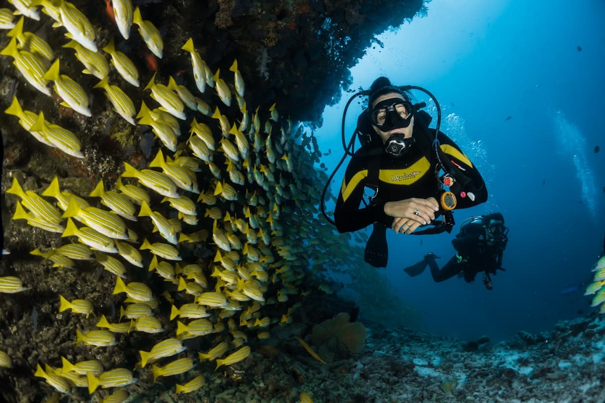 Best Kayaking Destinations in the World