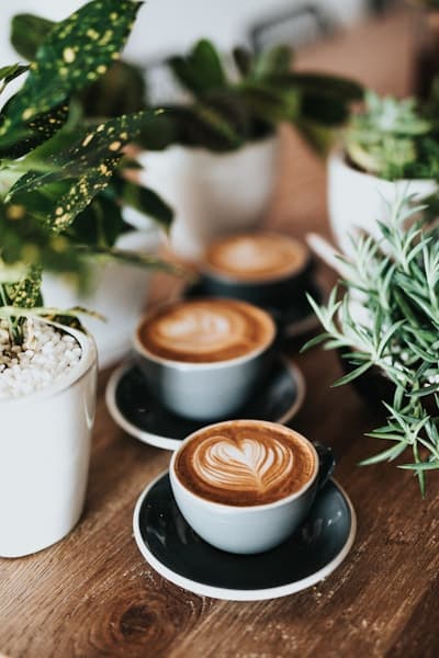 Intelligentsia Coffee