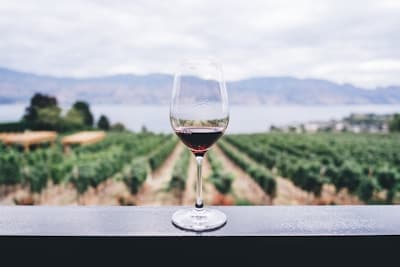 Caymus Vineyards Special Selection