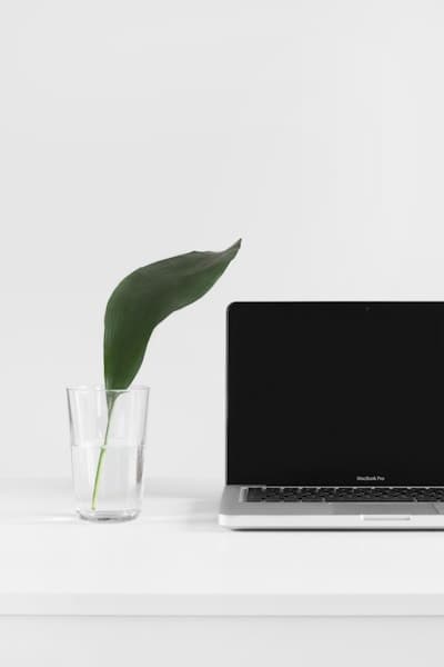 The $100 Startup — Chris Guillebeau