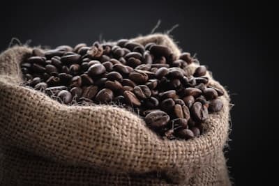 Ethiopian Yirgacheffe (Light Roast)