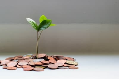 High-Yield Savings Account